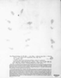 Typhula juncea image